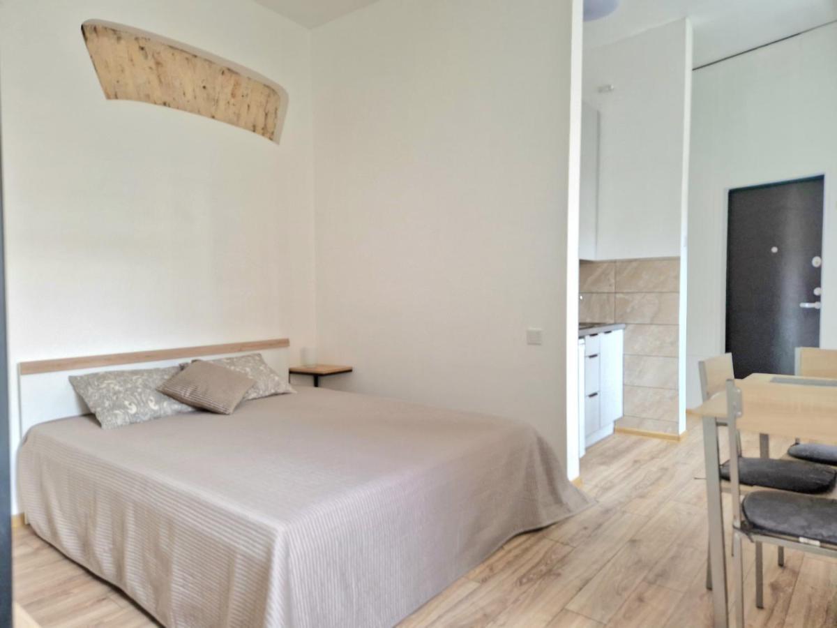 דירות וילנה Cozy Studio In Heart Of Old Town מראה חיצוני תמונה